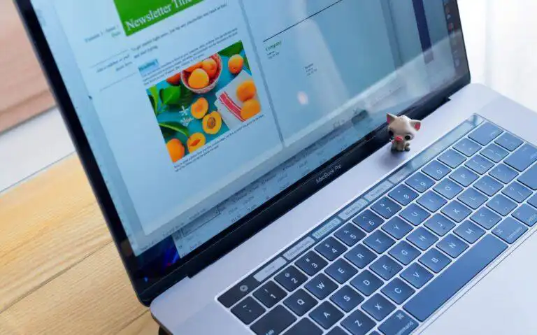 Microsoft Office 2021 for Mac – Activation and installation