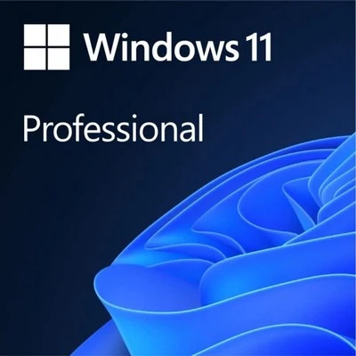 Windows 11 Pro