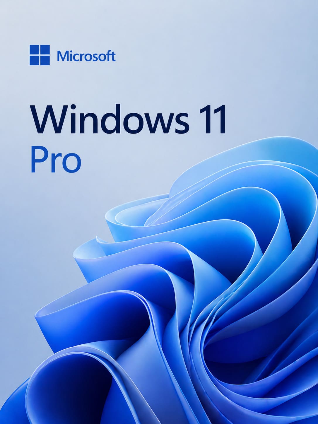 Windows 11 Pro