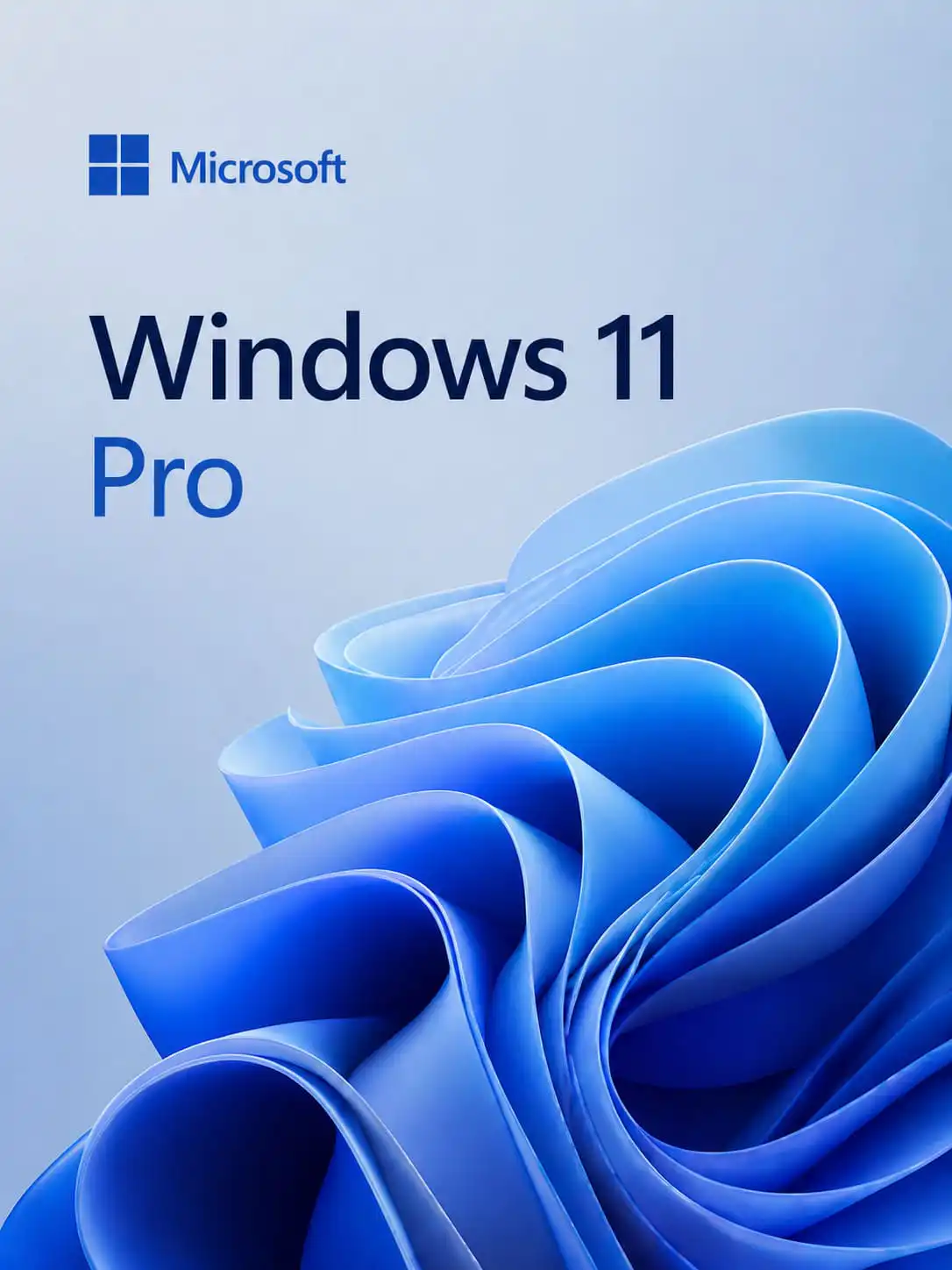 Windows 11 Pro