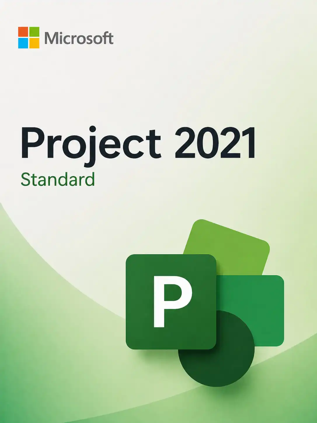 Download
Microsoft Project Standard 2021