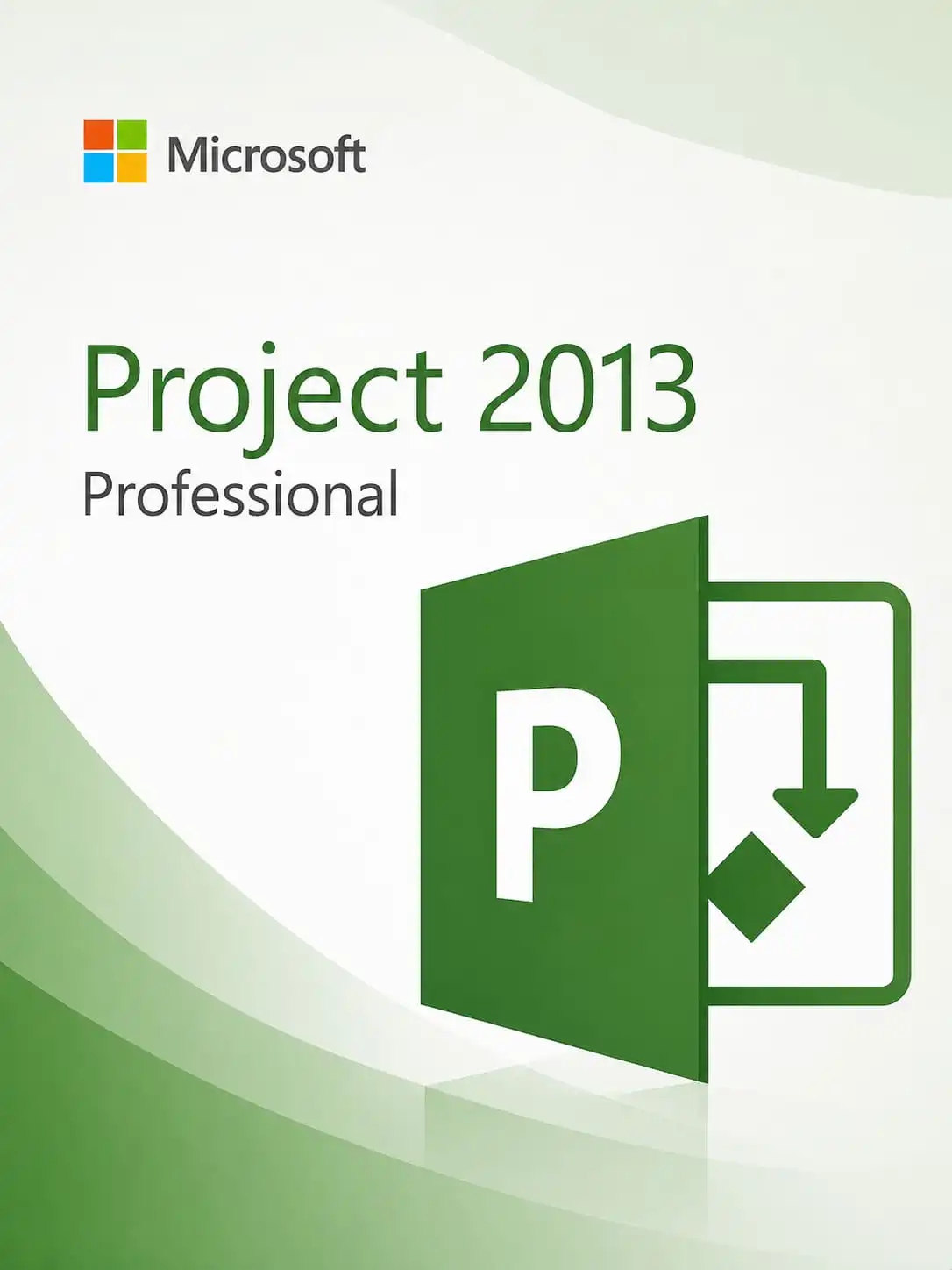 Download
Microsoft Project Professional 2013