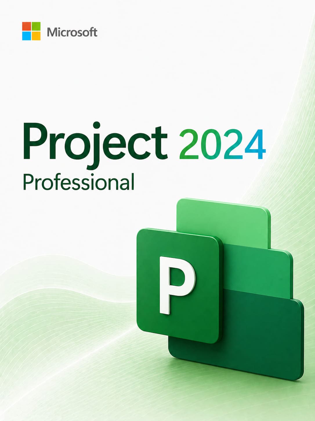 Microsoft Project Professional 2024
