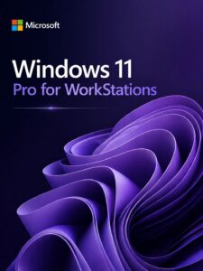 Windows 11 Pro for WorkStations